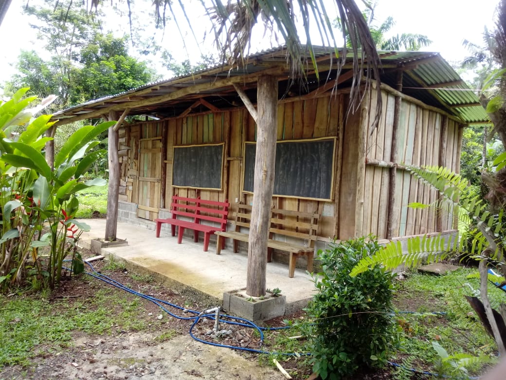 Paraíso Jaguarundi