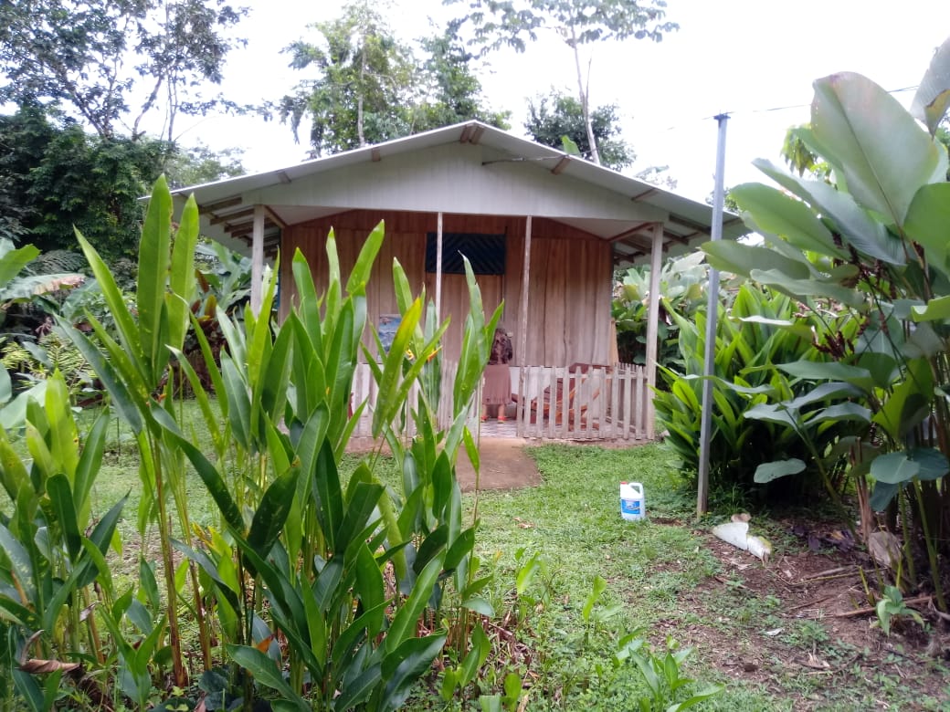 Paraíso Jaguarundi