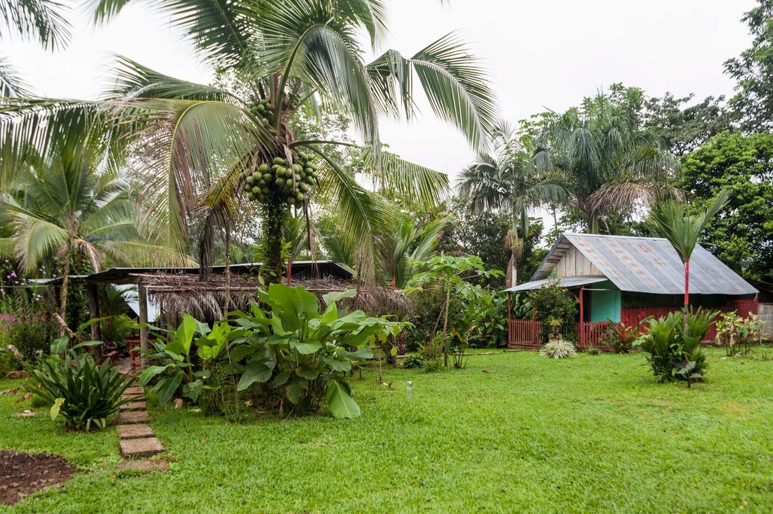 Paraíso Jaguarundi