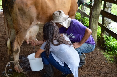 "Conservando Huellas" Dairy Farm