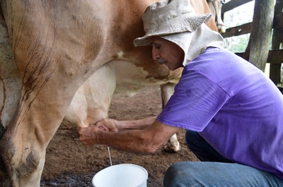 "Conservando Huellas" Dairy Farm
