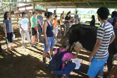 "Conservando Huellas" Dairy Farm