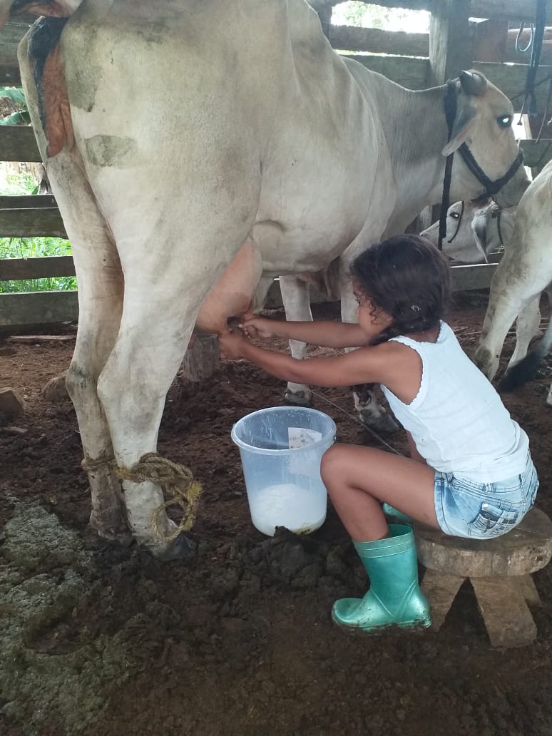 "Conservando Huellas" Dairy Farm
