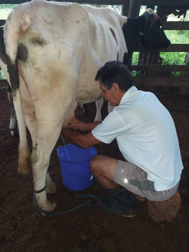 "Conservando Huellas" Dairy Farm