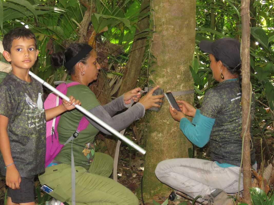 Comite Biological Monitoring