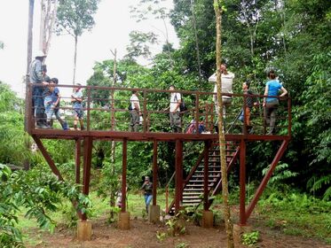 Comite Biological Monitoring