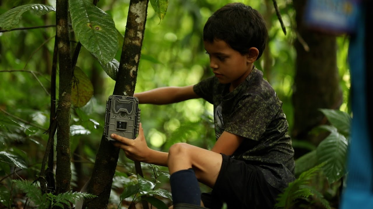 Comite Biological Monitoring