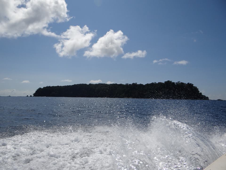 Plongée et Snorkeling à Isla del Caño