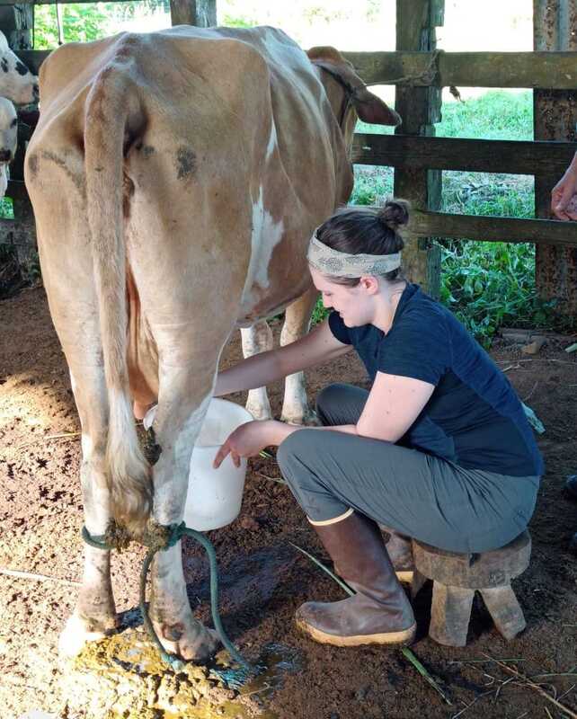 "Conservando Huellas" Dairy Farm