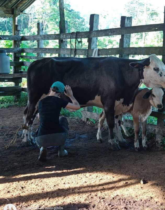 "Conservando Huellas" Dairy Farm