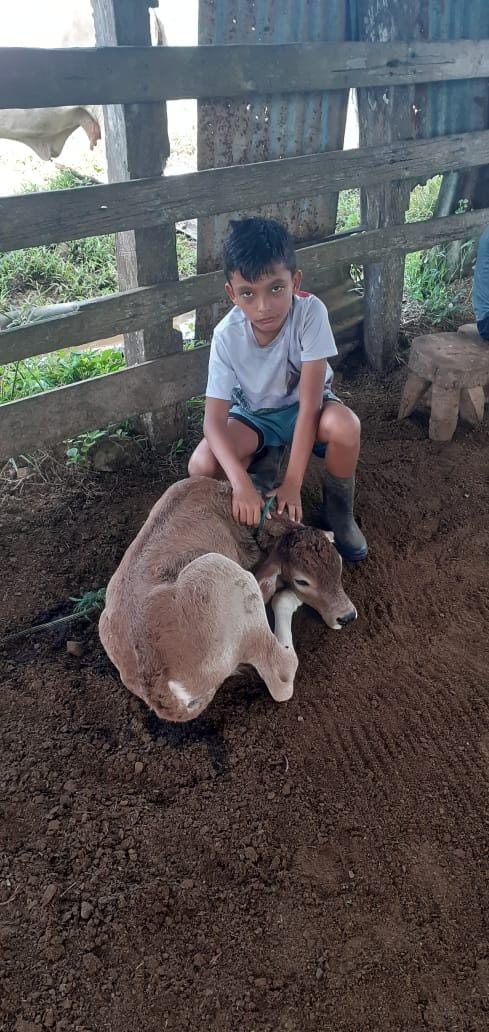 "Conservando Huellas" Dairy Farm